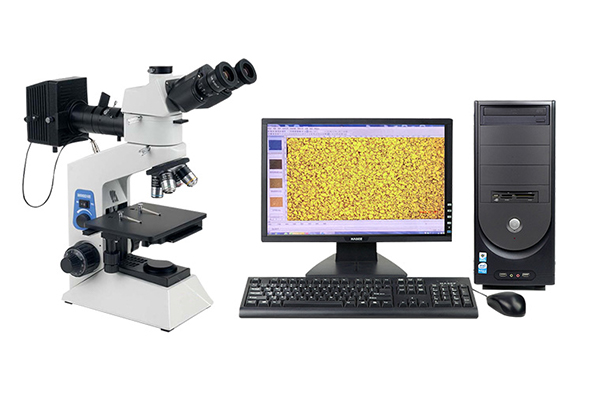Microscope