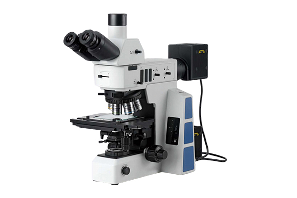 Microscope