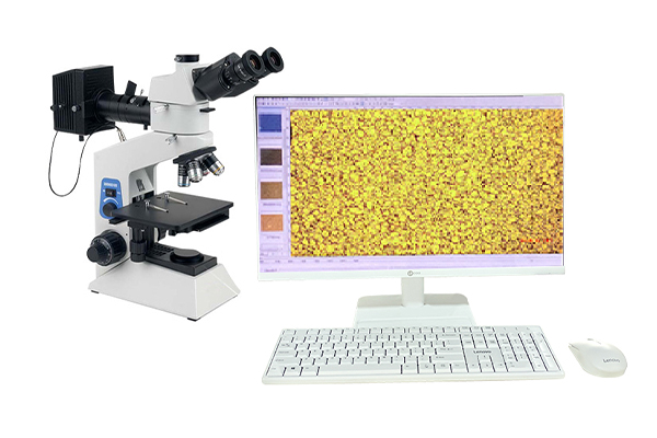 Microscope