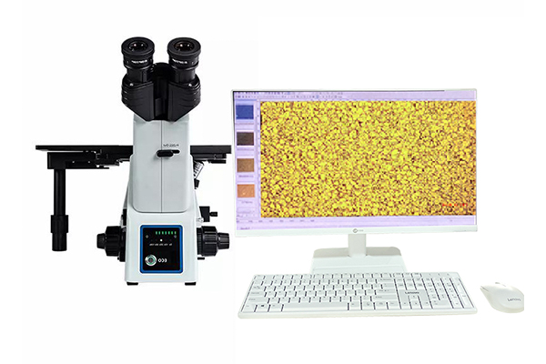 Microscope