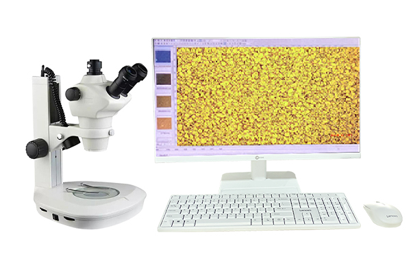 Trinocular Microscope