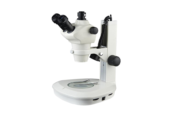 Trinocular Microscope